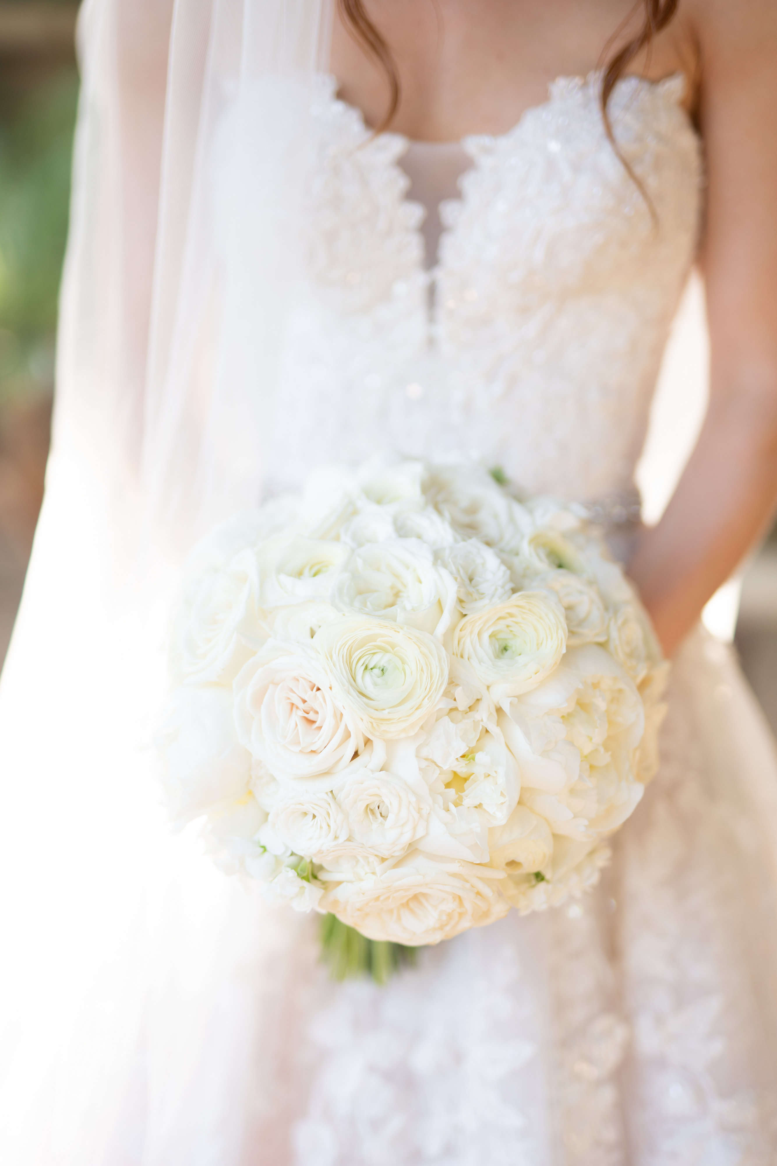 View More: https://ashleyraephotographs.pass.us/caitlinandjohnathanwedding