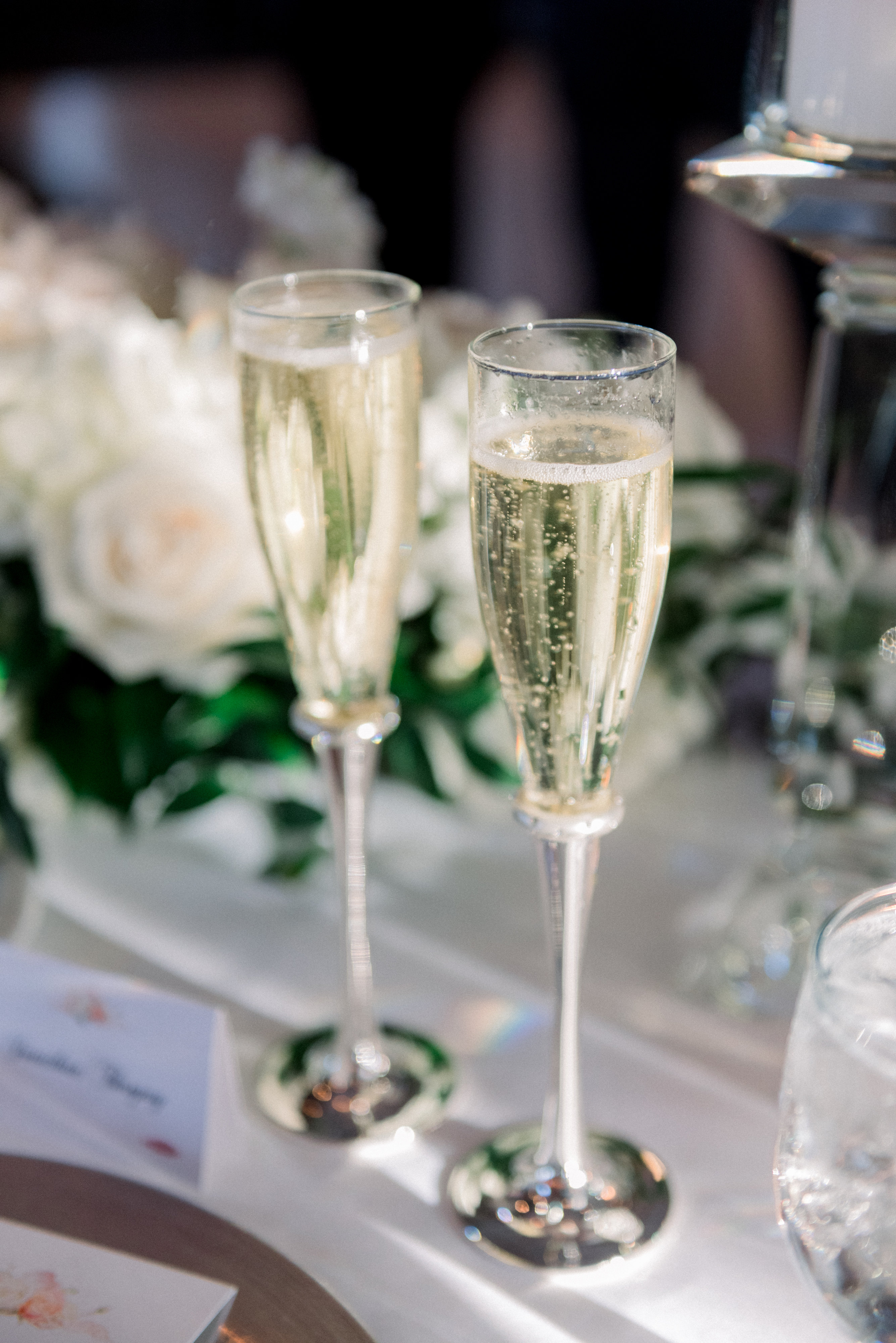 View More: https://ashleyraephotographs.pass.us/caitlinandjohnathanwedding